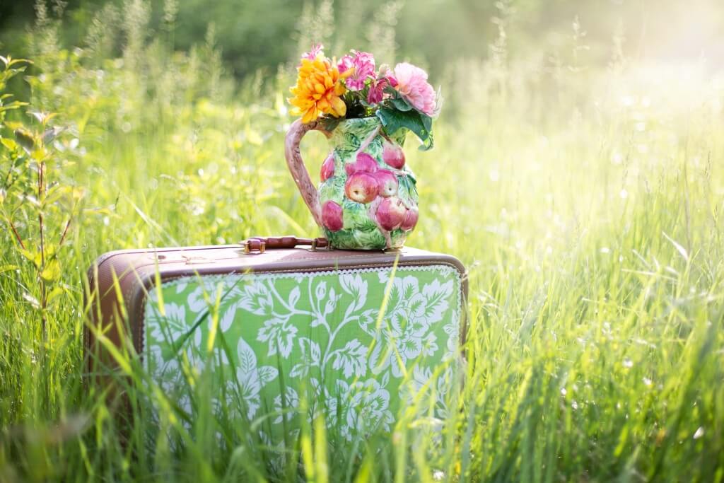 Koffer mit Blumenvase