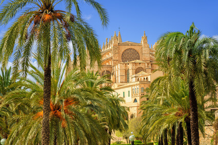 Palma Kathedrale